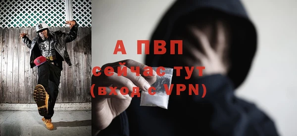 мяу мяу мука Абаза