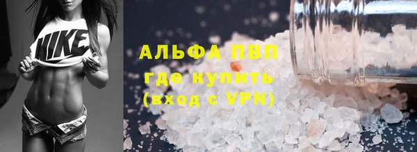 мяу мяу мука Абаза