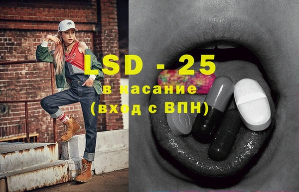 PSILOCYBIN Абдулино