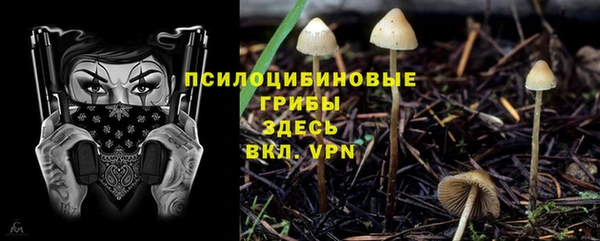 мяу мяу мука Абаза