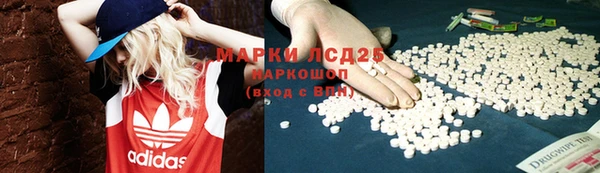 PSILOCYBIN Абдулино