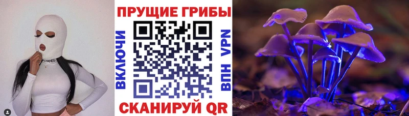 Псилоцибиновые грибы ЛСД  Райчихинск 